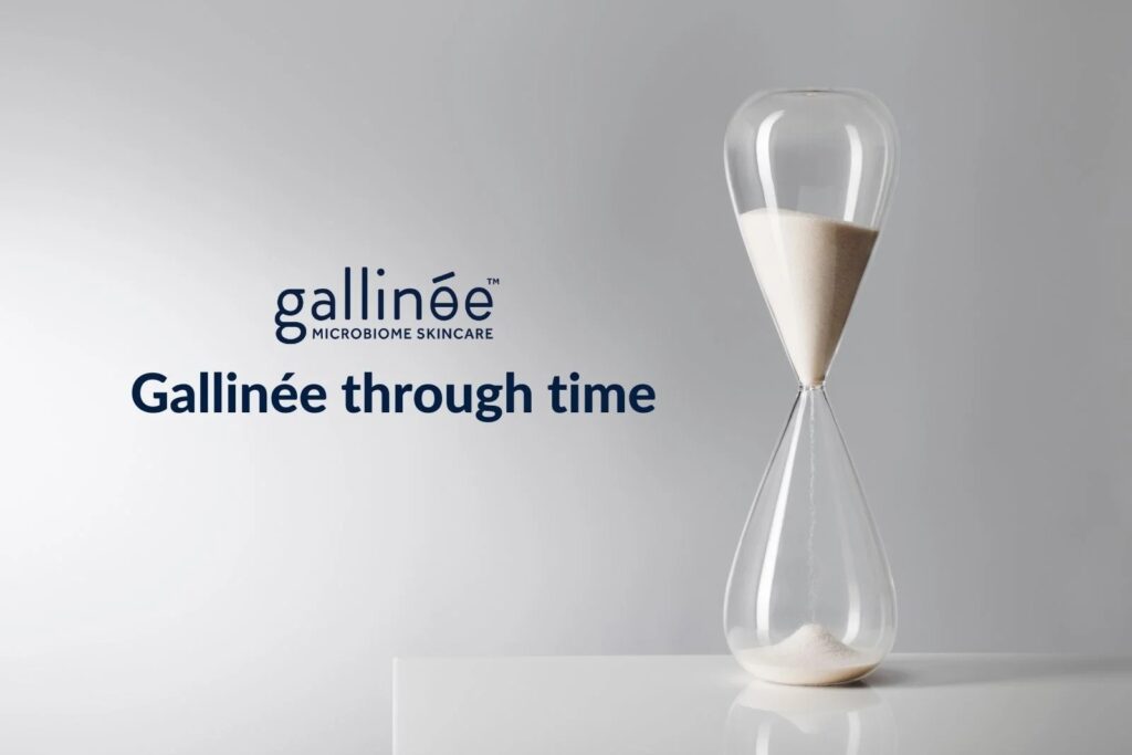 gallinee timeline